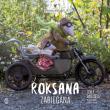 Roksana Zabiegana. Autor: Odile Baillul, Claire Curt, Agata Buzek. Dadada.pl Okładka książki Roksana Zabiegana