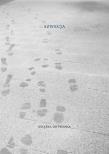Szwecja Książka do pisania. Autor: Leonard Neuger. Dadada.pl Okładka książki Szwecja Książka do pisania