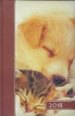 Opakowanie Terminarz 2018 B6 kolor - pies i kot