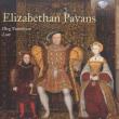 ELIZABETHAN PAVANS LUTE MUSIC. Autor: TIMOFEYEV OLEG. Dadada.pl Okładka książki ELIZABETHAN PAVANS LUTE MUSIC