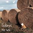 Gabryś na wsi. Autor: Agnieszka Starok. Dadada.pl Okładka książki Gabryś na wsi