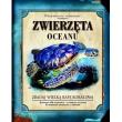 Okładka książki Przewodnik terenowy. Zwierzęta oceanu