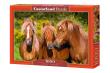 Puzzle 1000 Horse Friends. Wydawca: Castorland. Dadada.pl Opakowanie Puzzle 1000 Horse Friends