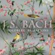 BACH GOLDBERG VARIATIONS. Autor: J.S. Bach. Dadada.pl Okładka książki BACH GOLDBERG VARIATIONS