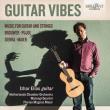 GUITAR VIBES. Autor: Izhar Elias. Dadada.pl Okładka książki GUITAR VIBES