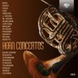 HORN CONCERTOS. Autor: Various Artists. Dadada.pl Okładka książki HORN CONCERTOS