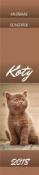 Opakowanie Kalendarz 13 Plansz paskowy - Koty