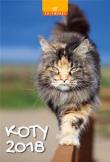 Opakowanie Kalendarz 7 Plansz - Koty