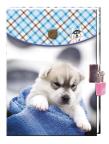 Opakowanie Pamiętnik z kluczykiem Puppy