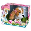 Opakowanie Petz club - Lola interaktywny piesek