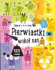 Okładka książki Pierwiastki wokół nas. Książka z okienkami