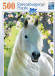 Opakowanie Puzzle 500 Biały koń