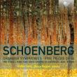 Schoenberg: Chamber Symphonies/Five Pieces Op. 16. Wydawca: Brilliant Classics. Dadada.pl Opakowanie Schoenberg: Chamber Symphonies/Five Pieces Op. 16