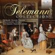 TELEMANN COLLECTION. Autor: TELEMANN G.P.. Dadada.pl Okładka książki TELEMANN COLLECTION