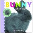 Bunny & Friends Touch and Feel. Autor: Priddy  Roger. Dadada.pl Okładka książki Bunny & Friends Touch and Feel