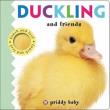 Duckling and Friends Touch and Feel. Autor: Priddy  Roger. Dadada.pl Okładka książki Duckling and Friends Touch and Feel