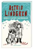 Dzieci z wyspy Saltkrkan. Autor: Lindgren Astrid. Dadada.pl Okładka książki Dzieci z wyspy Saltkrkan