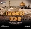 Gasnące ognie - Audiobook. Autor: Ossendowski Antoni Ferdynand. Dadada.pl Okładka książki Gasnące ognie - Audiobook