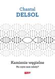 Okładka książki Kamienie węgielne Na czym nam zależy?