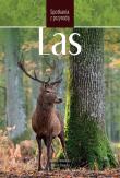Las Spotkania z przyrodą. Autor: Marek Sławski, Dorota Zawadzka. Dadada.pl Okładka książki Las Spotkania z przyrodą