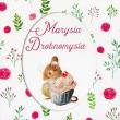 Marysia Drobnomysia. Autor: Potter Beatrix. Dadada.pl Okładka książki Marysia Drobnomysia