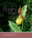 Rośliny Polski. Autor: Barbara Sudnik-Wójcikowska, Orczewska Anna. Dadada.pl Okładka książki Rośliny Polski