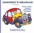 Okładka książki Samochody w obrazkach