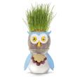 Opakowanie Sowa Trawowłosa