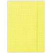 Opakowanie Teczka z gumką A4 w kratę żółta 25 sztuk