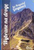 Wybrane na drogę. Autor: ks. Krzysztof Grzywocz. Dadada.pl Okładka książki Wybrane na drogę