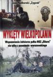 Wyklęty Wielkopolanin. Autor: Podhorski Jan Zygzak. Dadada.pl Okładka książki Wyklęty Wielkopolanin
