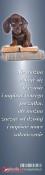 Opakowanie Zakładka do książki- Nie można cofnąć się w czasie