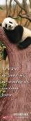 Zakładka do książki - Nie wiem, nie znam się.... Wydawca: Bogulandia. Dadada.pl Opakowanie Zakładka do książki - Nie wiem, nie znam się...