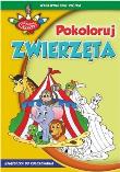 Okładka książki Zakręcone kolory. Pokoloruj zwierzęta