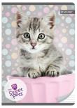 Opakowanie Zeszyt A5 w trzy linie 16 kartek Kot The Sweet Pets 10 sztuk mix