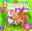 Album malucha. Zwierzęta maluchy. Autor: Opracowanie zbiorowe. Dadada.pl Okładka książki Album malucha. Zwierzęta maluchy