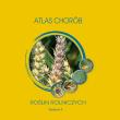 Atlas chorób roślin rolniczych. Autor: Korbas Marek, Jajor Ewa, Horoszkiewicz-Janka Joanna. Dadada.pl Okładka książki Atlas chorób roślin rolniczych