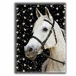 Opakowanie Błyszczący pamiętnik Horse 2
