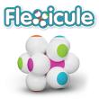 Opakowanie Flexicule Łamigłówka dla malucha