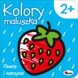 Kolory Maluszka 2 Owoce i warzywa. Autor: Piotr Kozera. Dadada.pl Okładka książki Kolory Maluszka 2 Owoce i warzywa