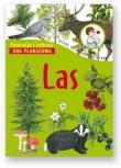 Las - młody obserwator... MULTICO. Autor: Będkowska Hanna. Dadada.pl Okładka książki Las - młody obserwator... MULTICO