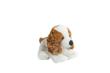 Opakowanie Molli Toys Piesek Cocker Spaniel 30 cm