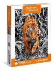 Okładka książki Puzzle 1000 Platinum Collection Tiger