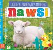 Ulubione zwierzątka malucha. Na wsi.. Autor: Opracowanie zbiorowe. Dadada.pl Okładka książki Ulubione zwierzątka malucha. Na wsi.