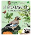 Wojciech Gil opowiada o drzewach i ich mieszkańcach. Autor: Wojciech Gil. Dadada.pl Okładka książki Wojciech Gil opowiada o drzewach i ich mieszkańcach