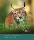 Zwierzęta Polski. Autor: Krzyściak-Kosińska Renata. Dadada.pl Okładka książki Zwierzęta Polski