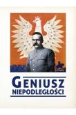 Geniusz niepodległości. Autor: Opracowanie zbiorowe. Dadada.pl Okładka książki Geniusz niepodległości