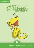 Okładka książki Greenman and the Magic Forest A Phonics Flashcards (Pack of 38)