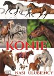 Konie - nasi ulubieńcy. Autor: Joanna Werner. Dadada.pl Okładka książki Konie - nasi ulubieńcy