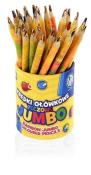 Opakowanie Kredki ołówkowe tęczowe Jumbo (36szt) ASTRA